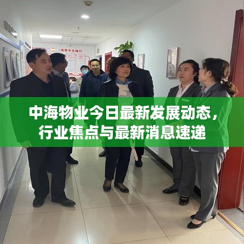 中海物业今日最新发展动态，行业焦点与最新消息速递