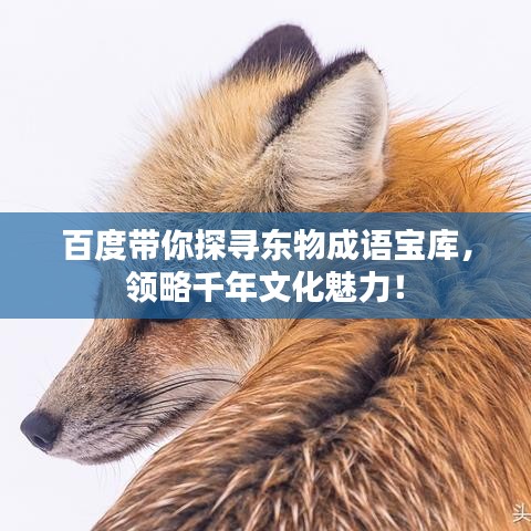 百度带你探寻东物成语宝库，领略千年文化魅力！