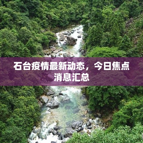 石台疫情最新动态，今日焦点消息汇总