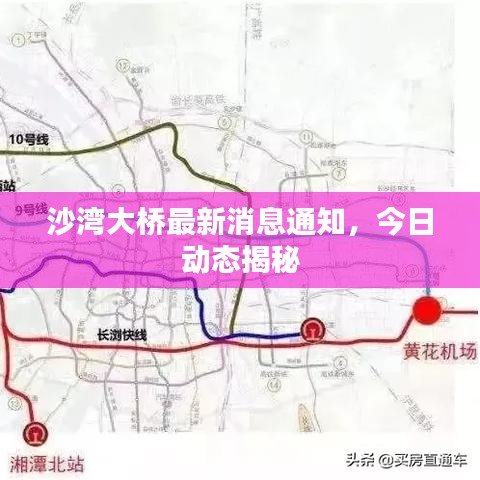 沙湾大桥最新消息通知，今日动态揭秘