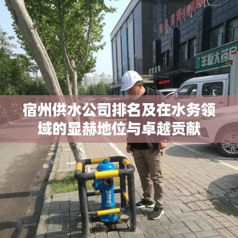 宿州供水公司排名及在水务领域的显赫地位与卓越贡献