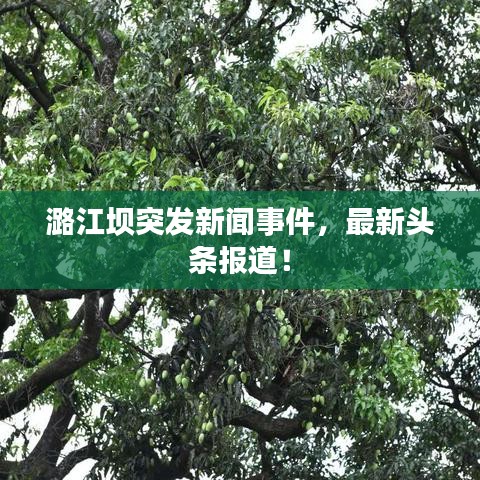 潞江坝突发新闻事件，最新头条报道！
