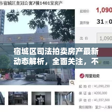 宿城区司法拍卖房产最新动态解析，全面关注，不容错过