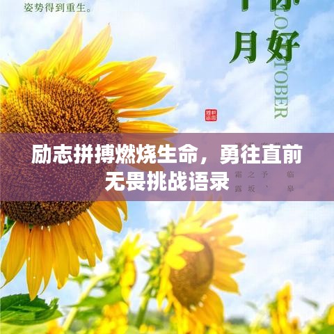 励志拼搏燃烧生命,勇往直前无畏挑战语录