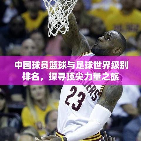中国球员篮球与足球世界级别排名，探寻顶尖力量之旅