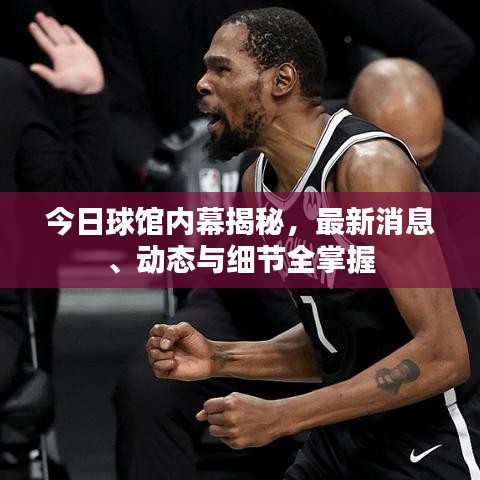 今日球馆内幕揭秘，最新消息、动态与细节全掌握