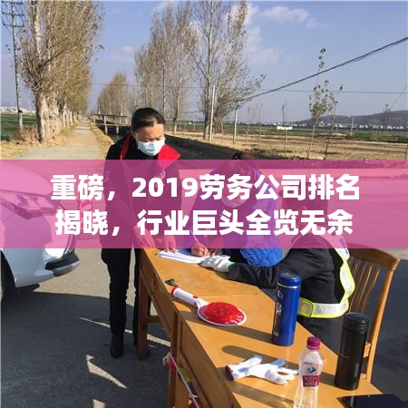 重磅，2019劳务公司排名揭晓，行业巨头全览无余