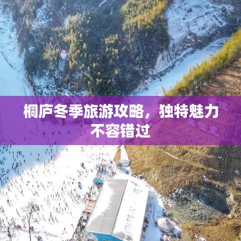 桐庐冬季旅游攻略，独特魅力不容错过