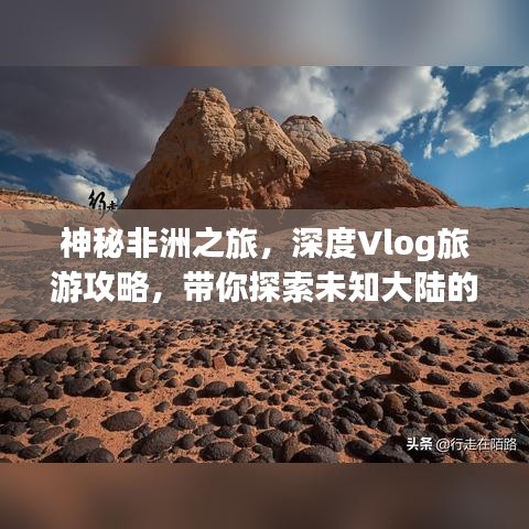 神秘非洲之旅，深度Vlog旅游攻略，带你探索未知大陆的魅力