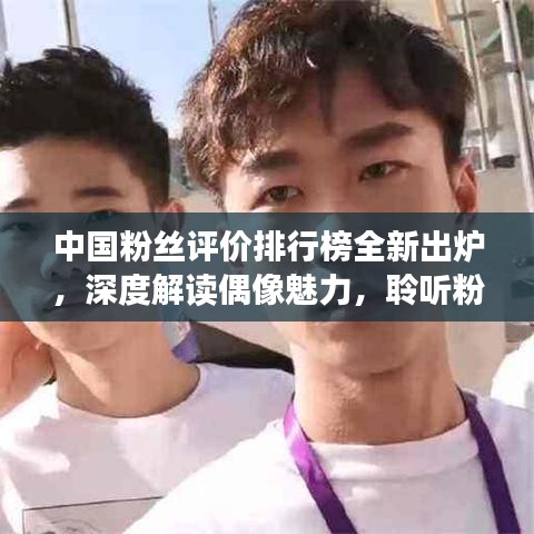 中国粉丝评价排行榜全新出炉，深度解读偶像魅力，聆听粉丝心声