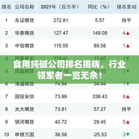 食用纯碱公司排名揭晓，行业领军者一览无余！