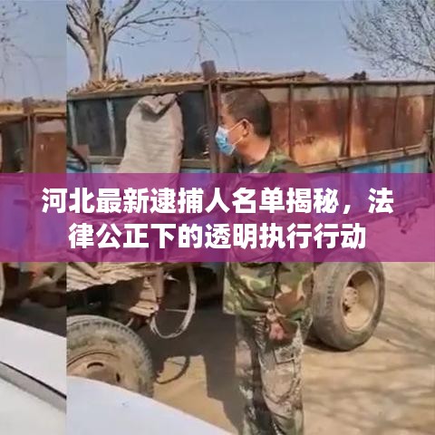 河北最新逮捕人名单揭秘，法律公正下的透明执行行动