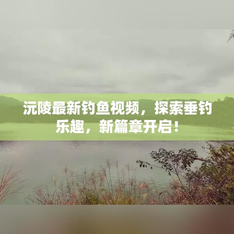 沅陵最新钓鱼视频，探索垂钓乐趣，新篇章开启！