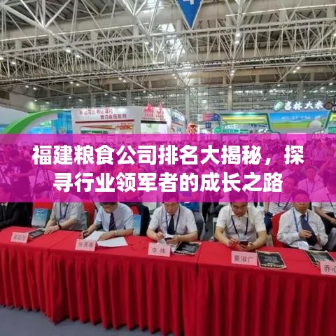 福建粮食公司排名大揭秘，探寻行业领军者的成长之路