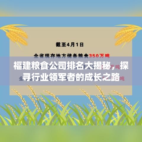 福建粮食公司排名大揭秘,探寻行业领军者的成长之路