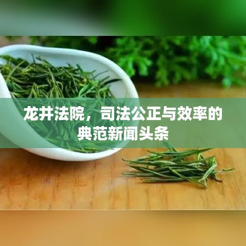 龙井法院，司法公正与效率的典范新闻头条