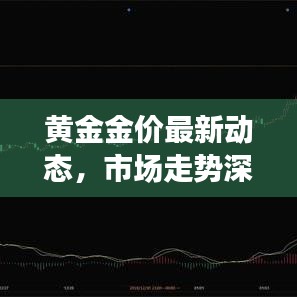 黄金金价最新动态，市场走势深度分析与预测