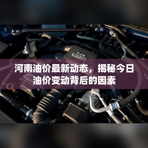 河南油价最新动态，揭秘今日油价变动背后的因素