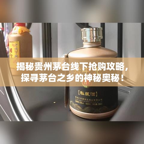 揭秘贵州茅台线下抢购攻略,探寻茅台之乡的神秘奥秘!
