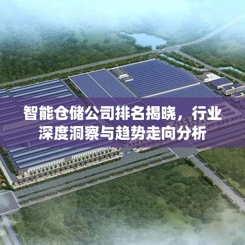 智能仓储公司排名揭晓，行业深度洞察与趋势走向分析