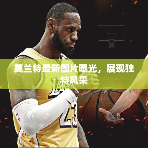 瑞雪纷飞 第9页