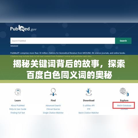 揭秘关键词背后的故事,探索百度白色同义词的奥秘
