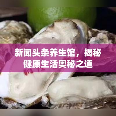 新闻头条养生馆，揭秘健康生活奥秘之道