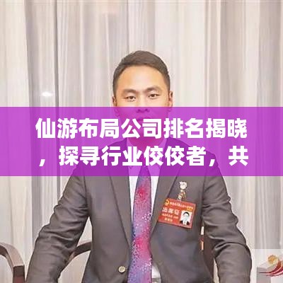 仙游布局公司排名揭晓，探寻行业佼佼者，共创未来辉煌新篇章
