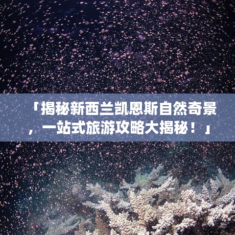 「揭秘新西兰凯恩斯自然奇景，一站式旅游攻略大揭秘！」