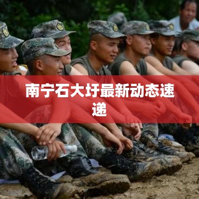 南宁石大圩最新动态速递