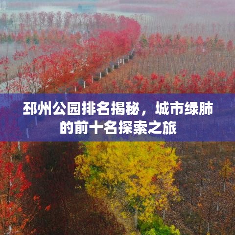 邳州公园排名揭秘，城市绿肺的前十名探索之旅