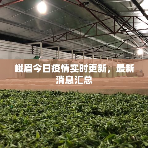 峨眉今日疫情实时更新，最新消息汇总