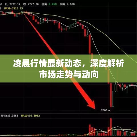 凌晨行情最新动态，深度解析市场走势与动向
