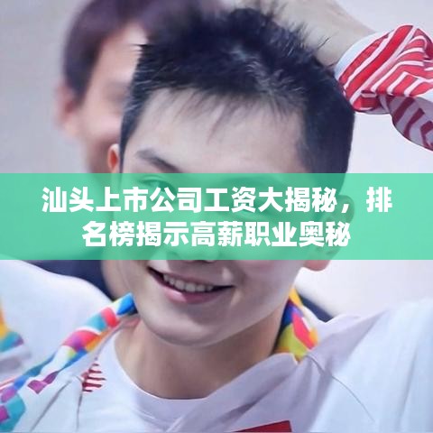 汕头上市公司工资大揭秘，排名榜揭示高薪职业奥秘