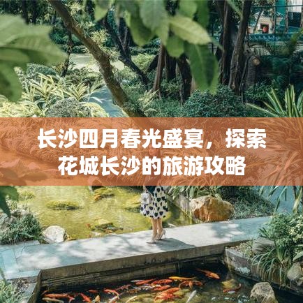 长沙四月春光盛宴,探索花城长沙的旅游攻略
