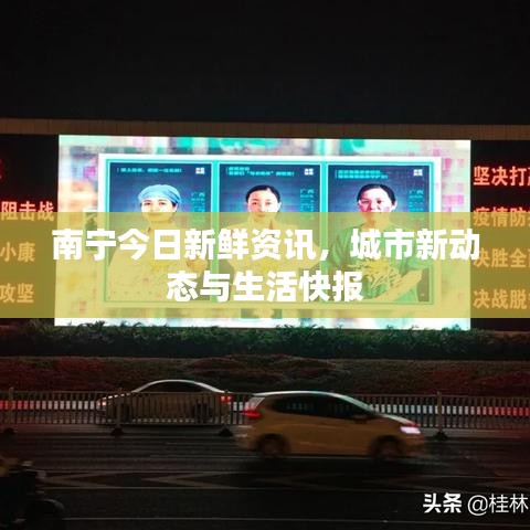 南宁今日新鲜资讯，城市新动态与生活快报