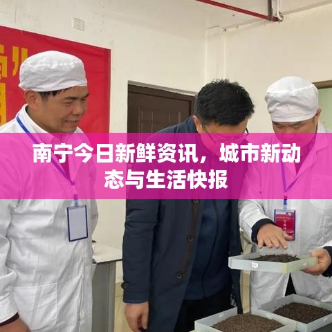 南宁今日新鲜资讯,城市新动态与生活快报