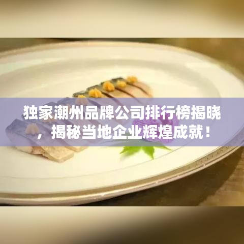 独家潮州品牌公司排行榜揭晓，揭秘当地企业辉煌成就！