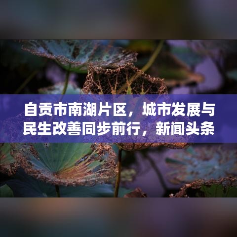 自贡市南湖片区，城市发展与民生改善同步前行，新闻头条抢先看
