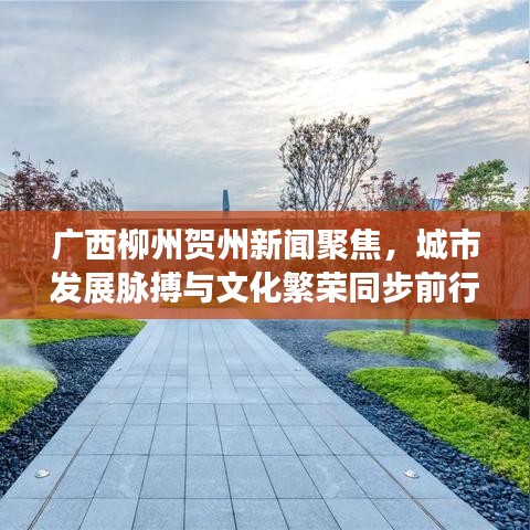 广西柳州贺州新闻聚焦，城市发展脉搏与文化繁荣同步前行