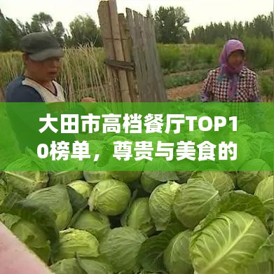 大田市高档餐厅TOP10榜单，尊贵与美食的完美交融体验