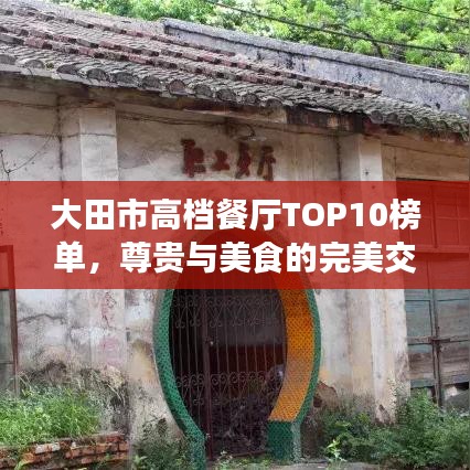 大田市高档餐厅TOP10榜单,尊贵与美食的完美交融体验