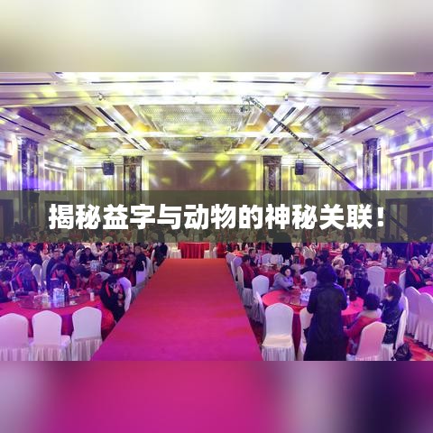 揭秘益字与动物的神秘关联！