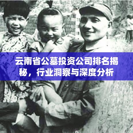 云南省公墓投资公司排名揭秘，行业洞察与深度分析