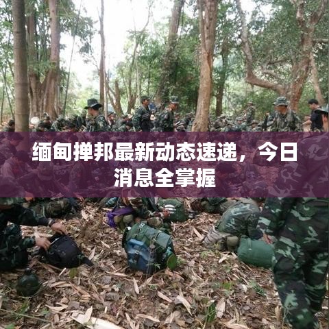 缅甸掸邦最新动态速递，今日消息全掌握