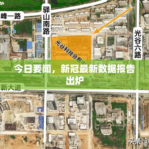 今日要闻，新冠最新数据报告出炉