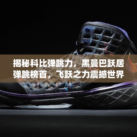 揭秘科比弹跳力，黑曼巴跃居弹跳榜首，飞跃之力震撼世界！