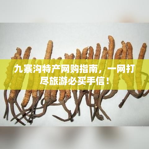 九寨沟特产网购指南，一网打尽旅游必买手信！