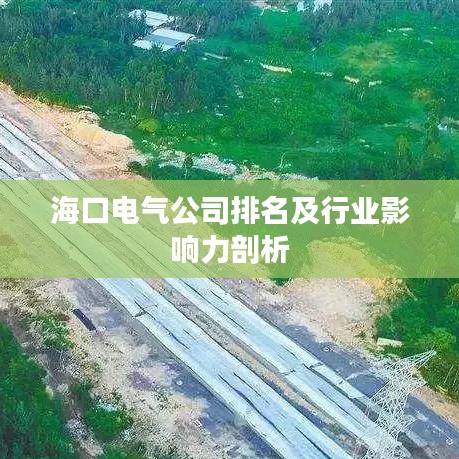 海口电气公司排名及行业影响力剖析