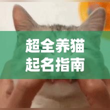 十全十美 第8页